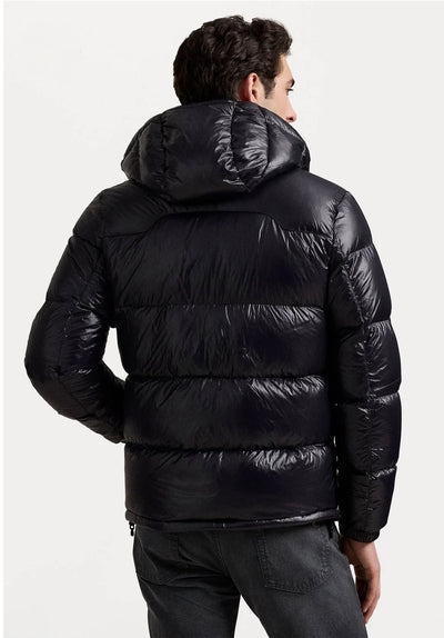 ''RL'' Shiny Puffer